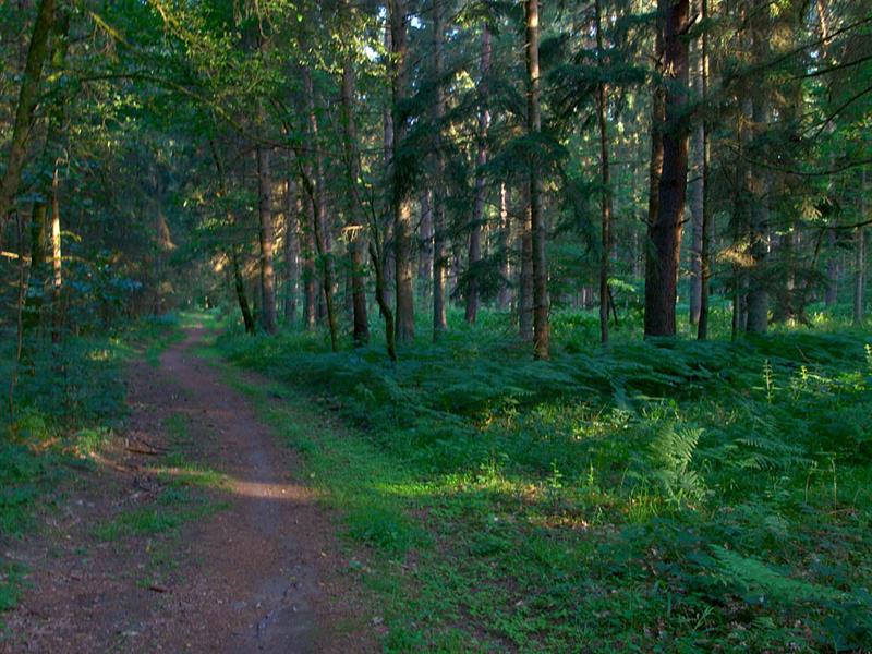 Le chemin du mineur Creutzwald Grand Est