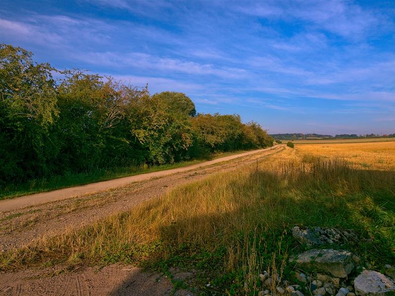 Boucle de l'amitié Retonfey Grand Est