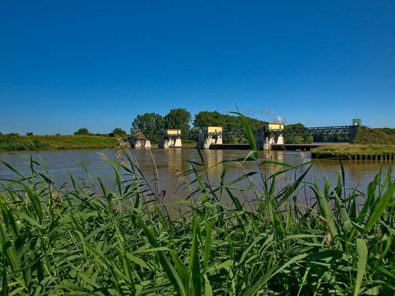 Le petelot Bertrange Grand Est