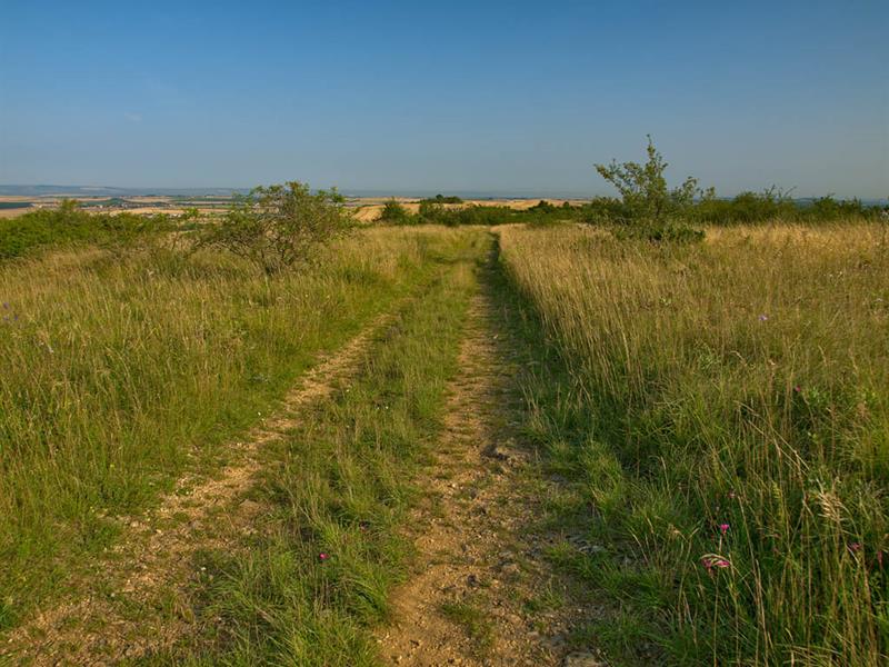 Les sources de l'Elme Moncheux Grand Est