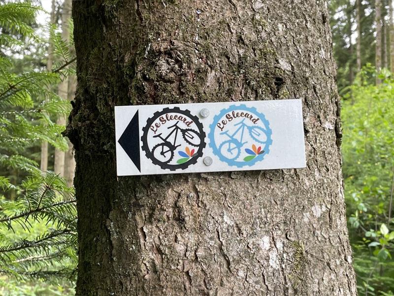 CIRCUIT VTT SAINT-NABORD LE SLECARD BLEU Saint-Nabord Grand Est