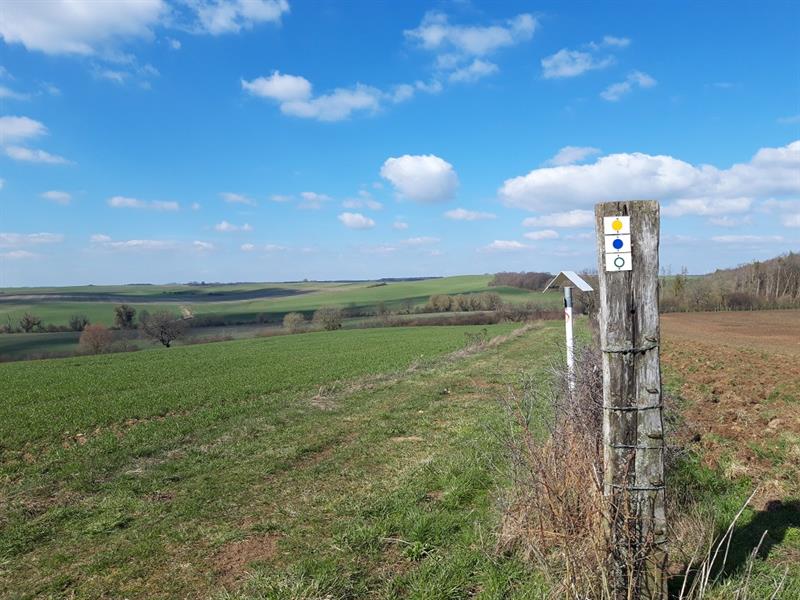 Circuit La voie romaine Mainvillers Grand Est