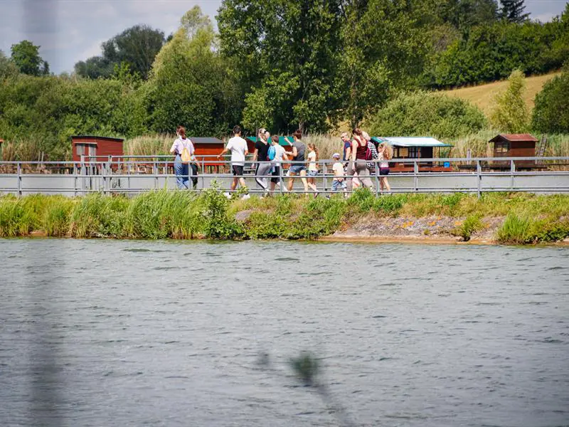 RANDOLAND ÉTANG DU WELSCHHOF Puttelange-aux-Lacs Grand Est