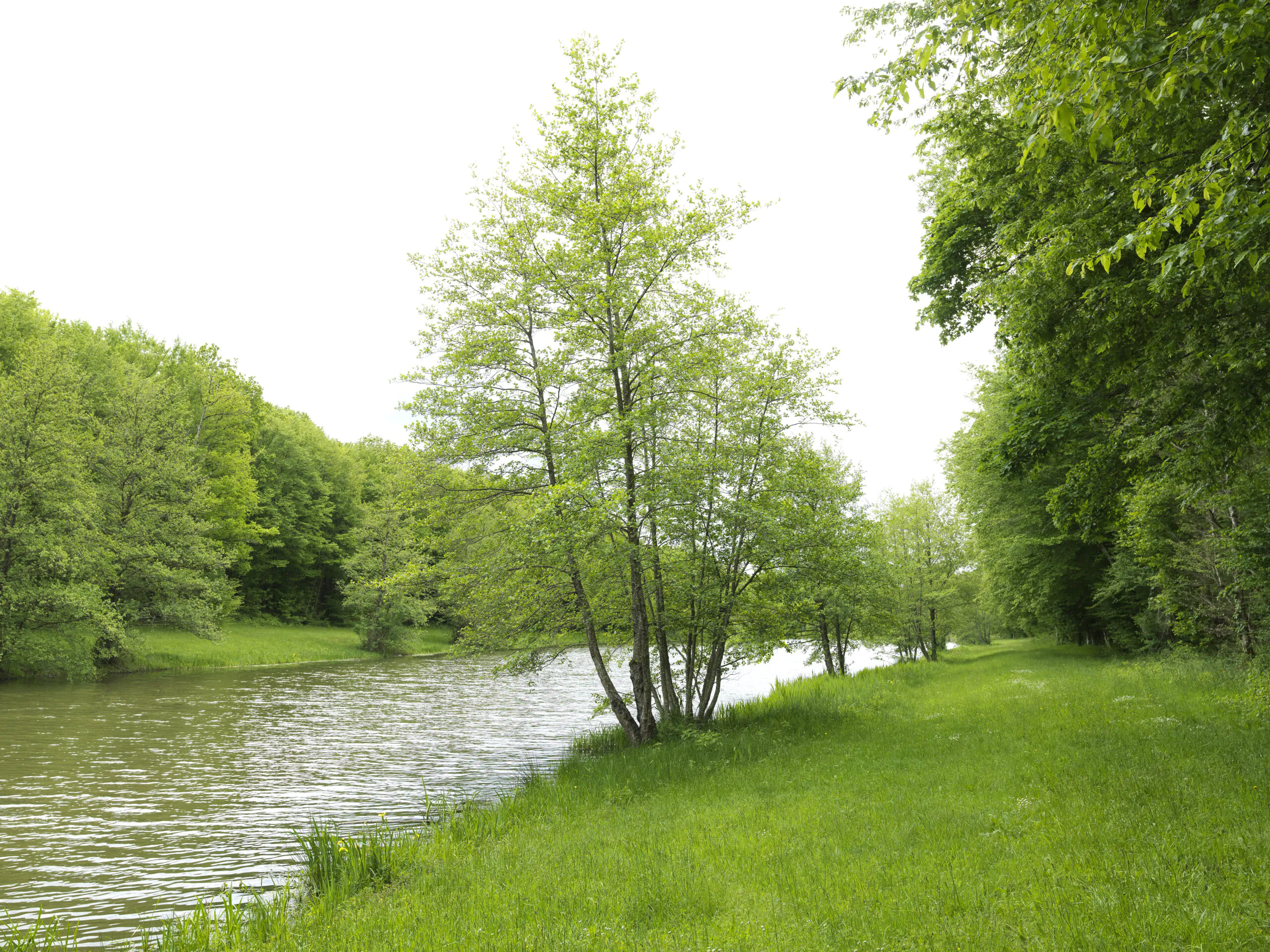 Randonnée La Ferrière La Ferrière Centre-Val de Loire