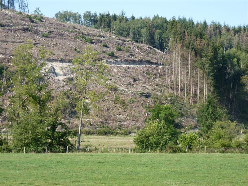 CONFÉRENCE LA FORÊT FRANÇAISE FACE AU DÉRÈGLEMENT CLIMATIQUE EXEMPLE MEUSIEN