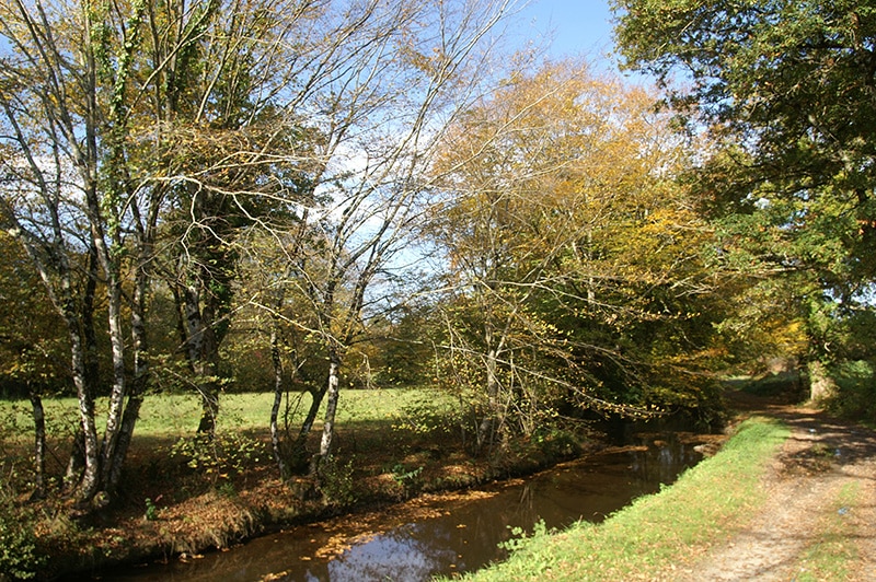 Balade à pied à Beaulieu En suivant le Bel Rio Saint-Benoît-du-Sault Centre-Val de Loire