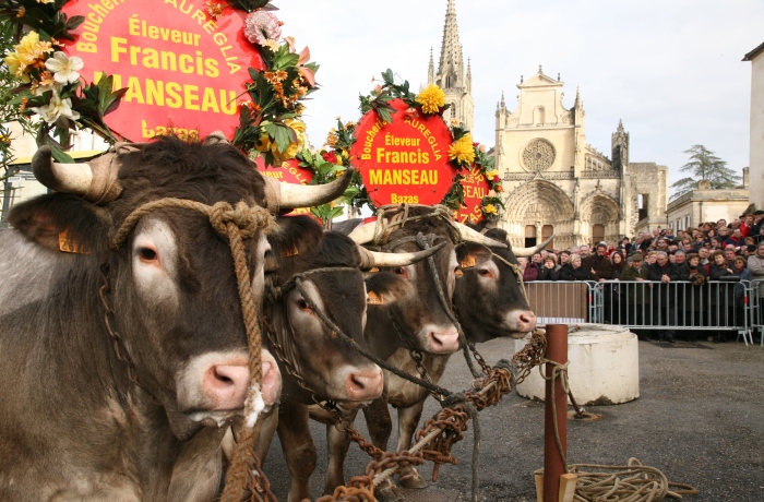 Bazas Médiévale Bazas Nouvelle-Aquitaine