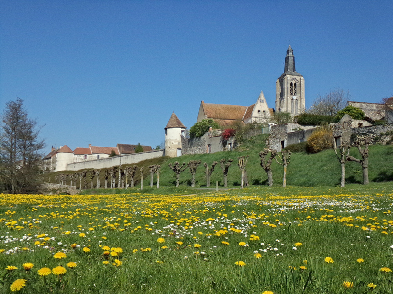 Circuit du climat des Loups Bonny-sur-Loire Centre-Val de Loire