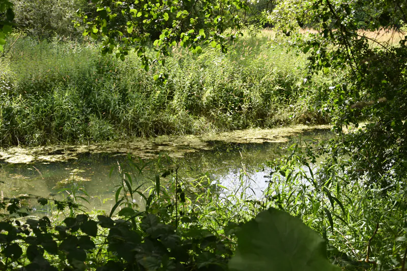 Sentier des Iles de Bonny Bonny-sur-Loire Centre-Val de Loire