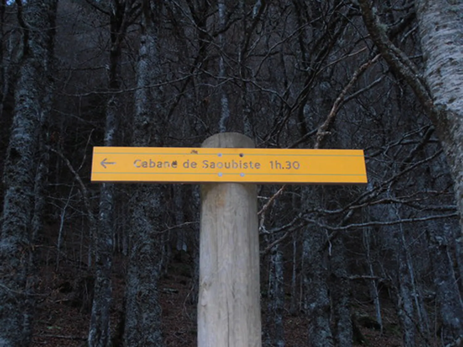 La cabane de Saoubiste Laruns Nouvelle-Aquitaine