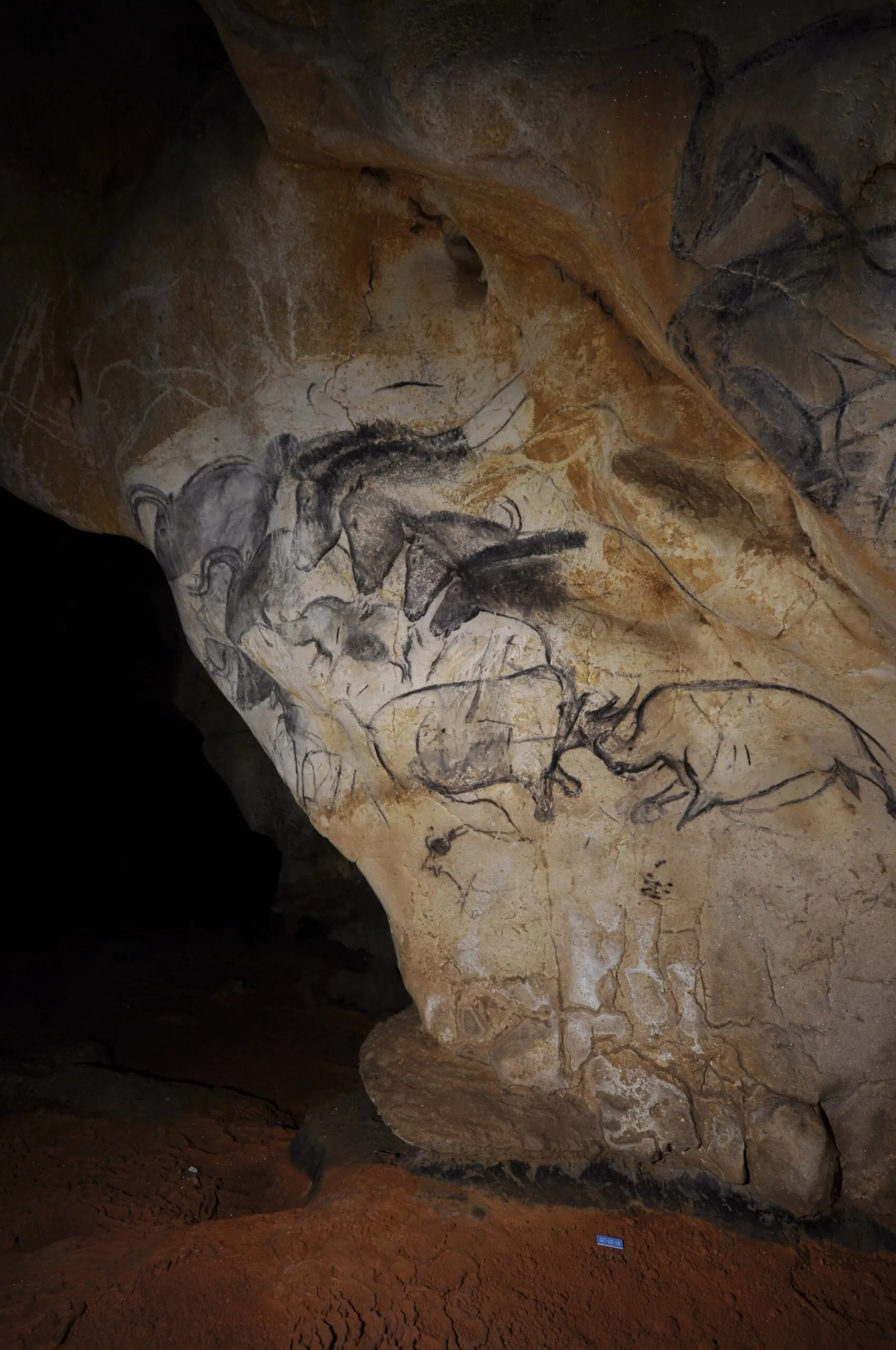 Projection du film "Le dernier passage" au musée de la préhistoire du Quercy