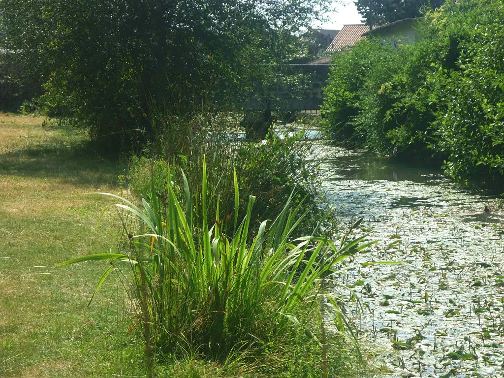 DE LAVOIRS EN RUELLES EN PASSANT PAR LES POUSTERLES Riscle Occitanie