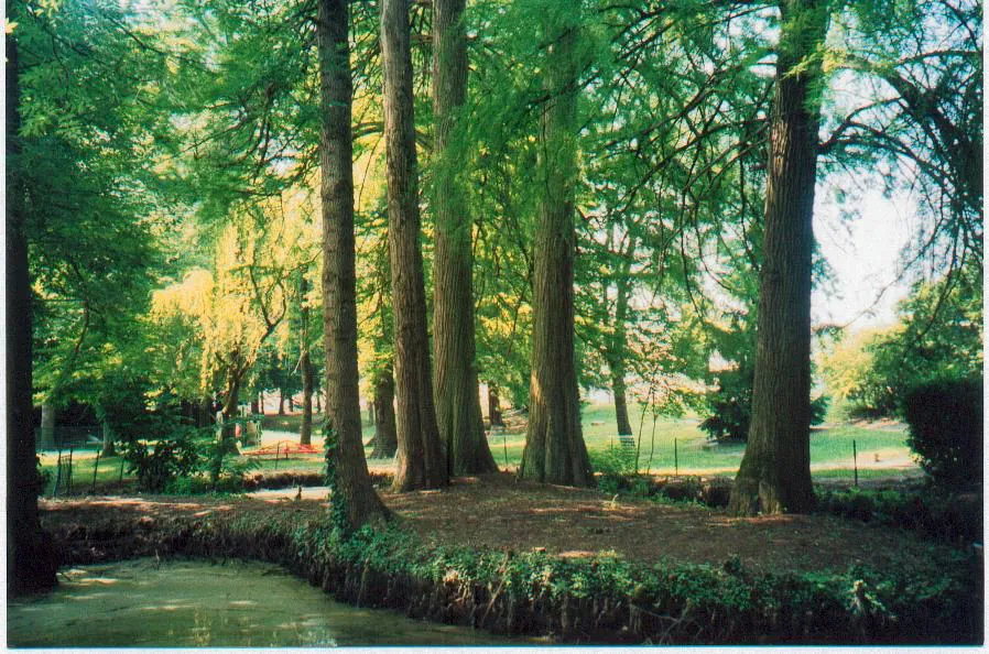 PAR LE VIEUX CASTERA Auch Occitanie