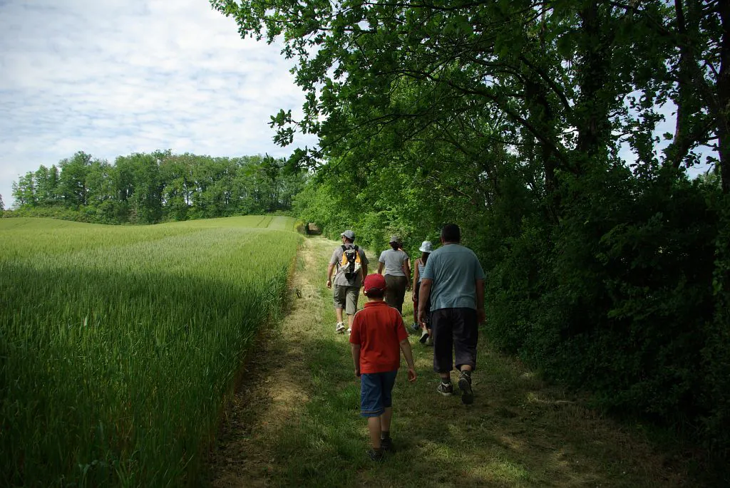 LE CHEMIN D'EN JANNET CARREAU Gimont Occitanie