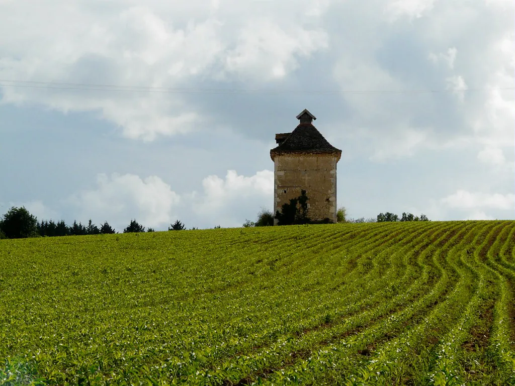 LE SENTIER DES PIGEONNIERS A SARRANT Mauvezin Occitanie