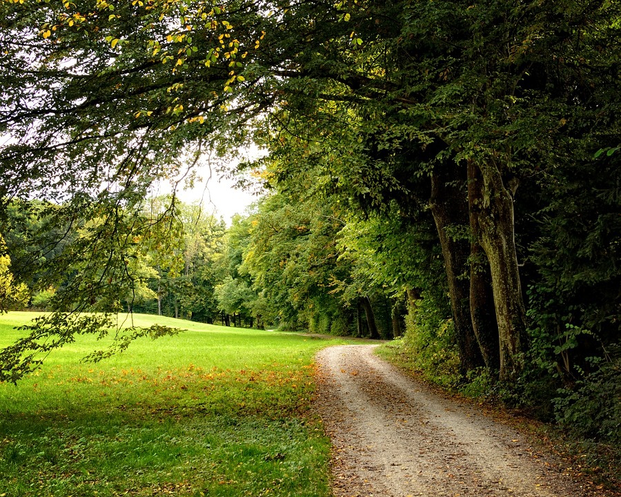 CHEMIN DE TAVERNES ET DU MARAIS Cazaubon Occitanie