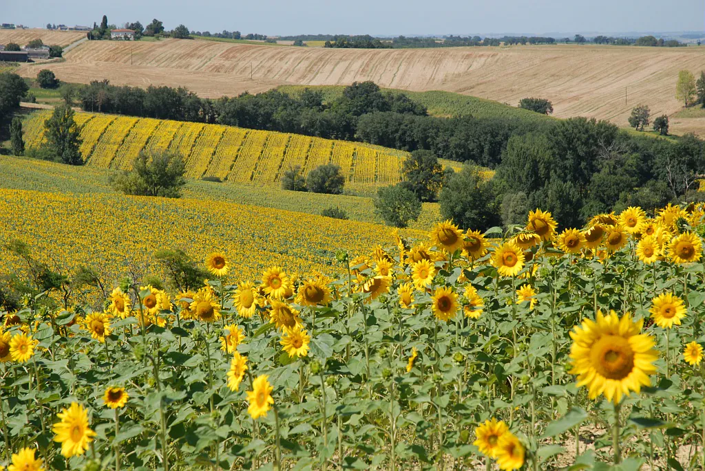 LE CHEMIN DES SÉNIORIALES Lombez Occitanie