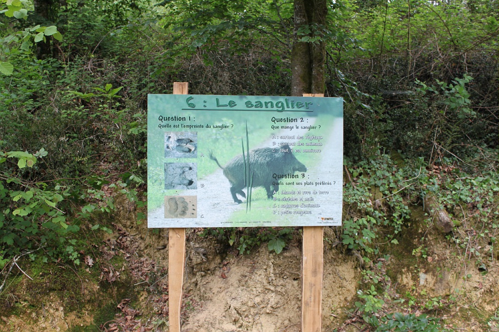 CIRCUIT NATURE DU DOMAINE DE BENQUET LE HOUGA Le Houga Occitanie