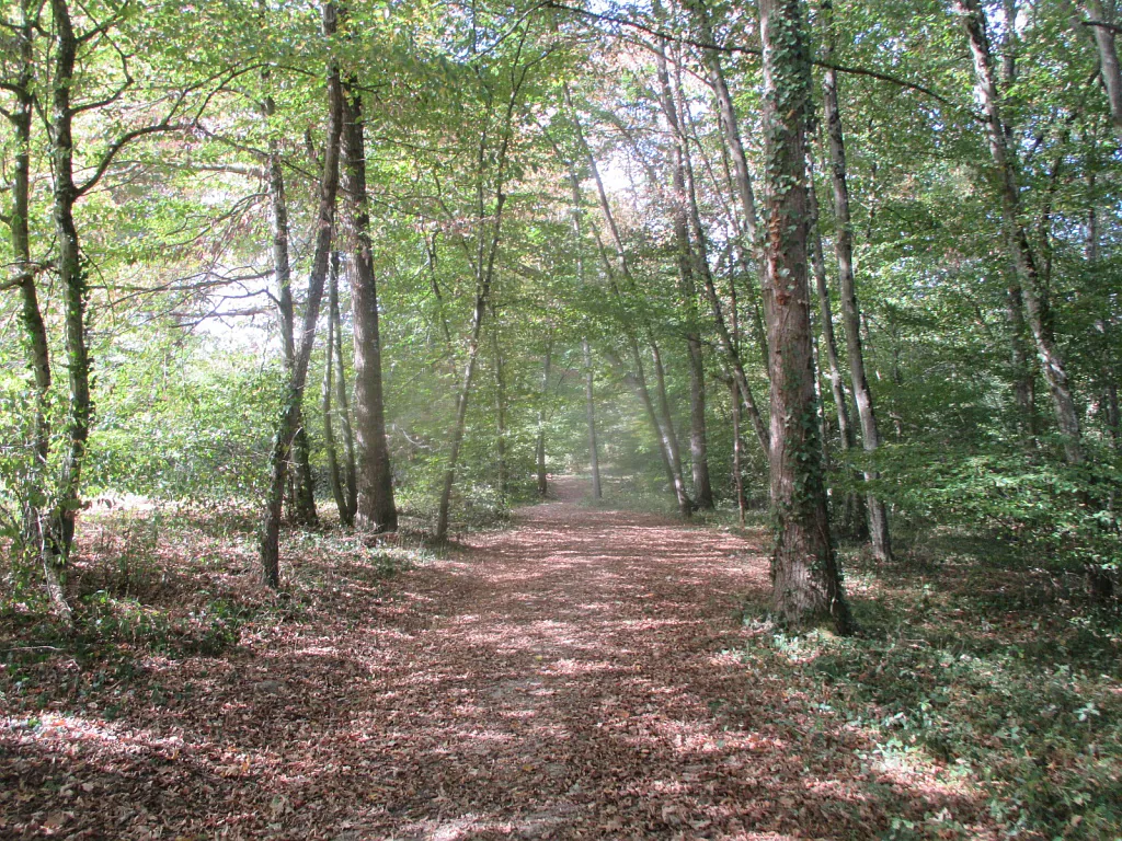 LE SENTIER D'ARTIGUEDIEU Masseube Occitanie