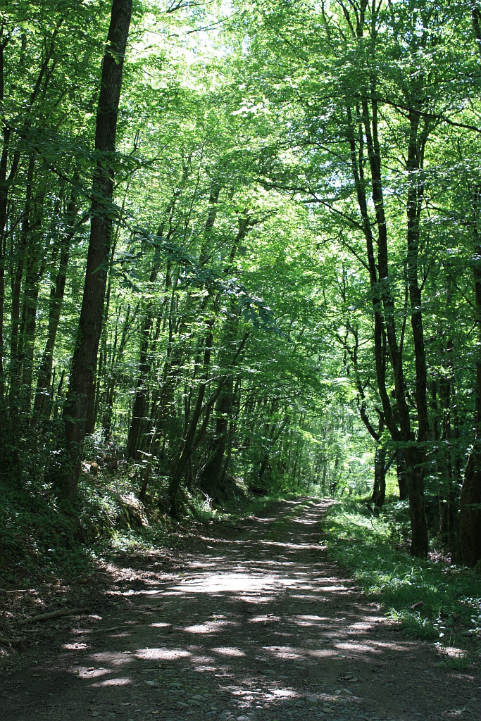 PR2 LES SENTIERS DE PÉDAOUCATS Villecomtal-sur-Arros Occitanie