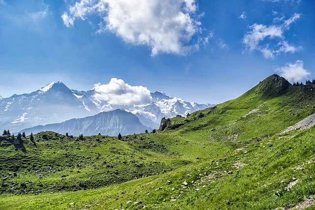 Projection sur Les Alpes