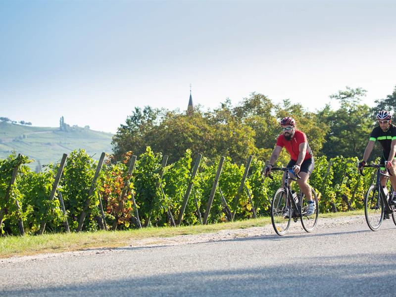 Circuit cyclo Vignobles et châteaux Kaysersberg Vignoble Grand Est