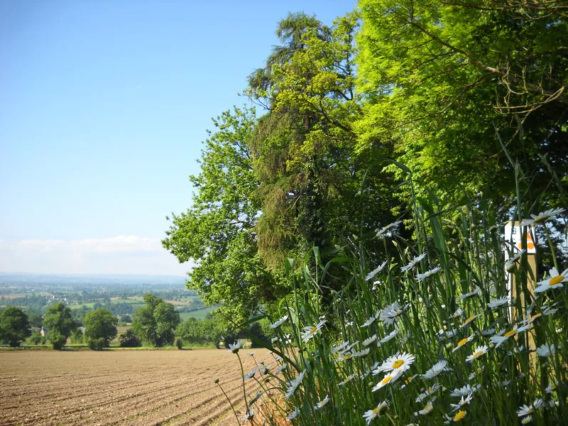 Entre bois et vallée Souleuvre en Bocage Normandie