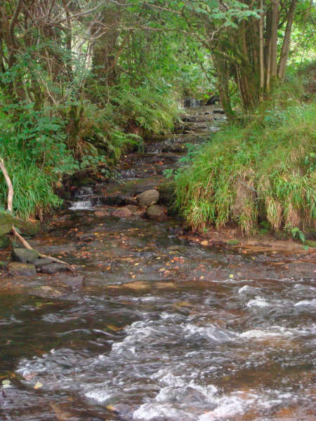 Les Vieux Chemins d'Auvergne Sousceyrac-en-Quercy Occitanie