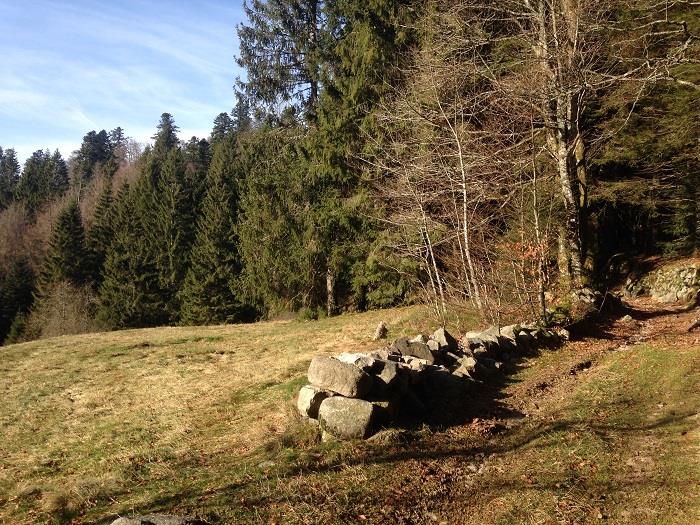 ITINÉRAIRE VTT N°4 LA LOCHÈRE DÉPART COL DE LA LOCHERE Fresse-sur-Moselle Grand Est