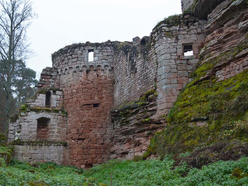 Circuit de randonnée aux châteaux du Schoeneck et du Wineck Dambach Grand Est
