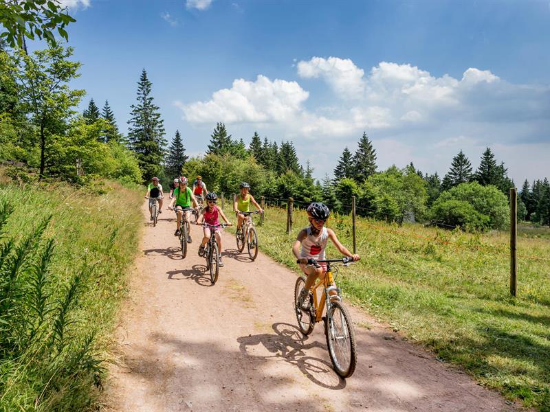 Circuit VTT 2 Les Bagenelles Le Bonhomme Grand Est Circuit VTT 2 Les Bagenelles Le Bonhomme Grand Est