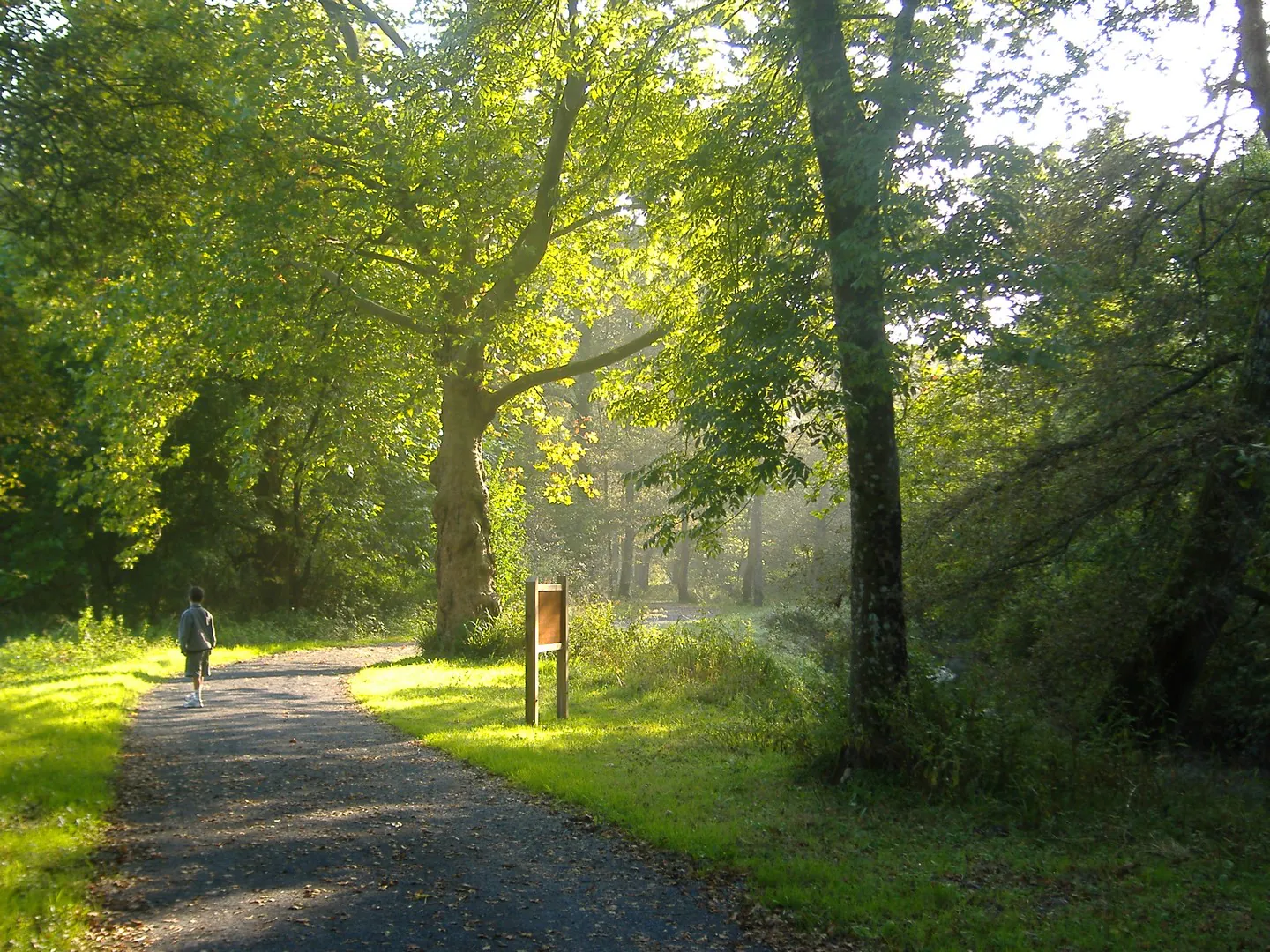 Bartas de l'Ardanavy / Ardanabiako bartak Urcuit Nouvelle-Aquitaine