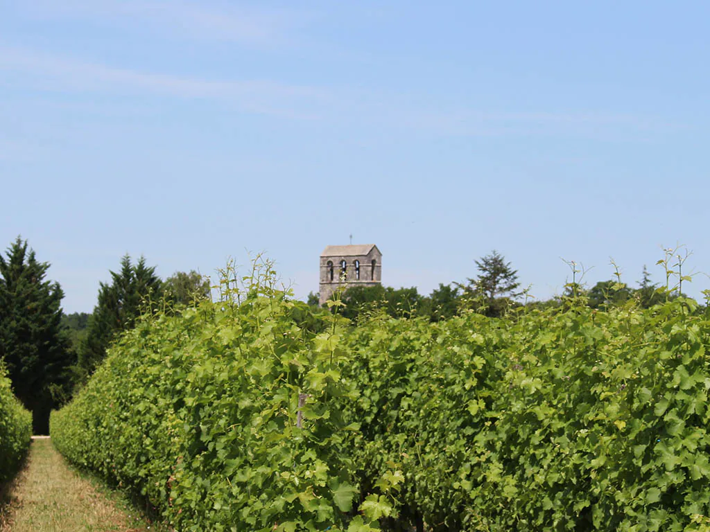 Boucle de Campna Conne de Labarde Conne-de-Labarde Nouvelle-Aquitaine