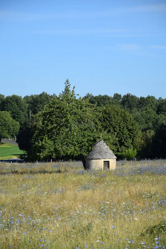 Boucle de Puyfébert Corgnac-sur-l'Isle Nouvelle-Aquitaine