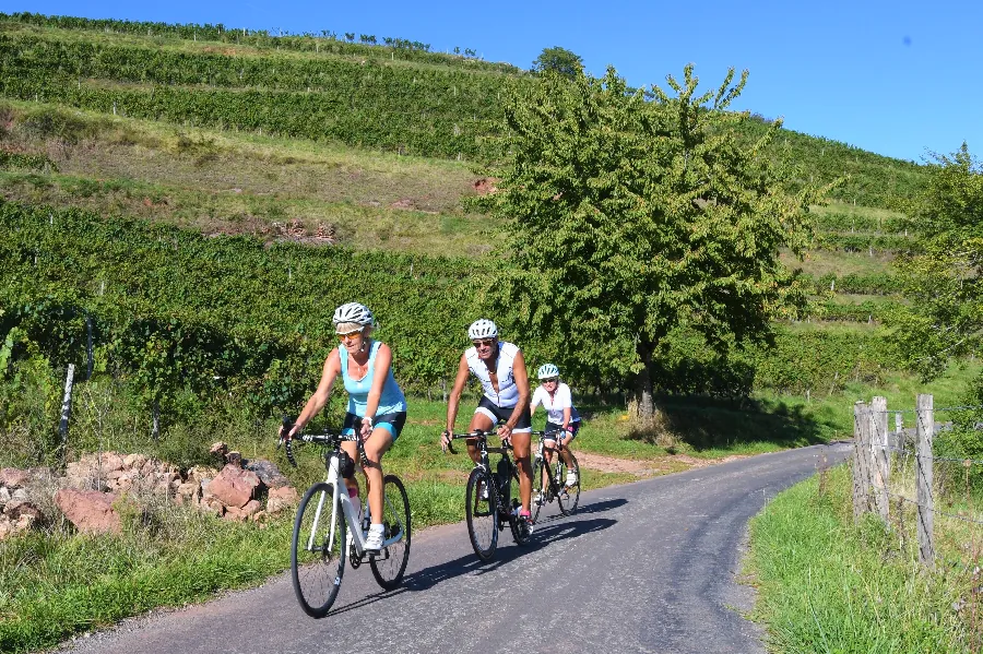 Circuit cyclo dans le vallon de Marcillac Marcillac-Vallon Occitanie