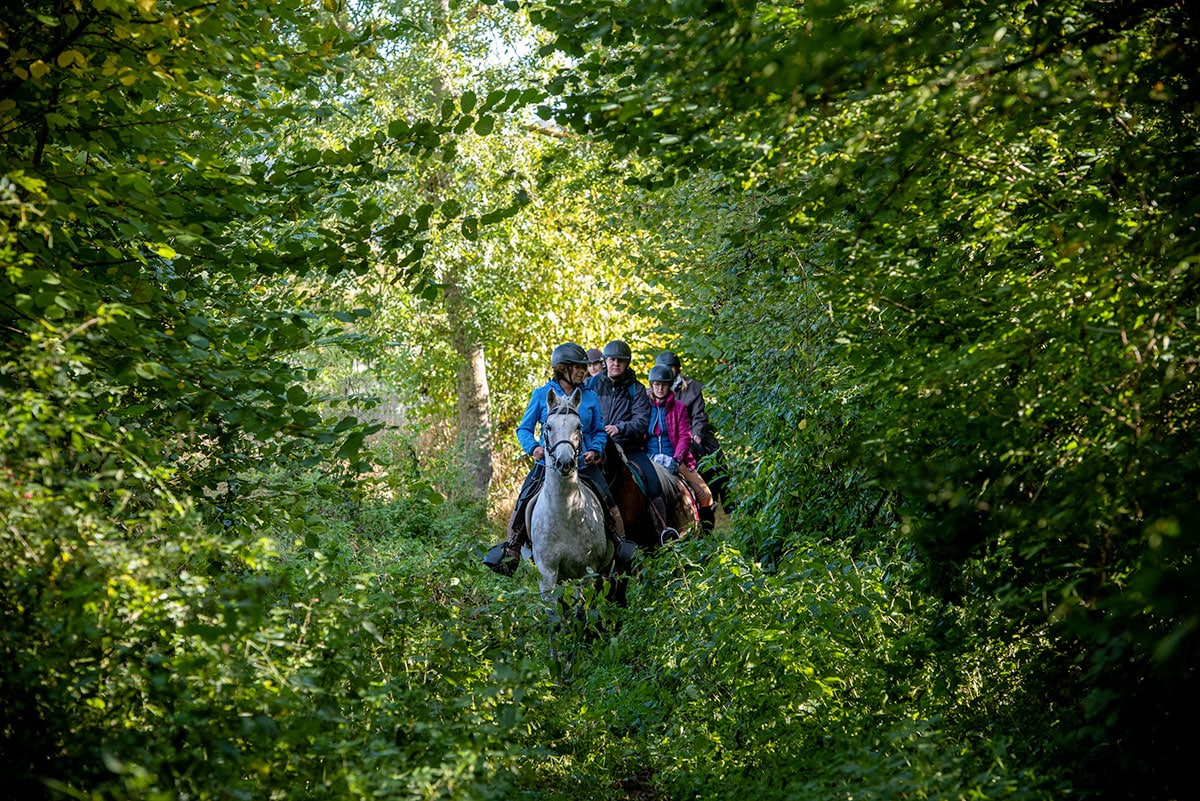 Etape 5 La Chevauchée du Pays d'Auge à la Seine Orbec Broglie Lisieux Normandie