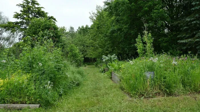 Apprendre la taille douce Dans le jardin d'un particulier Saint-Sulpice-la-Forêt