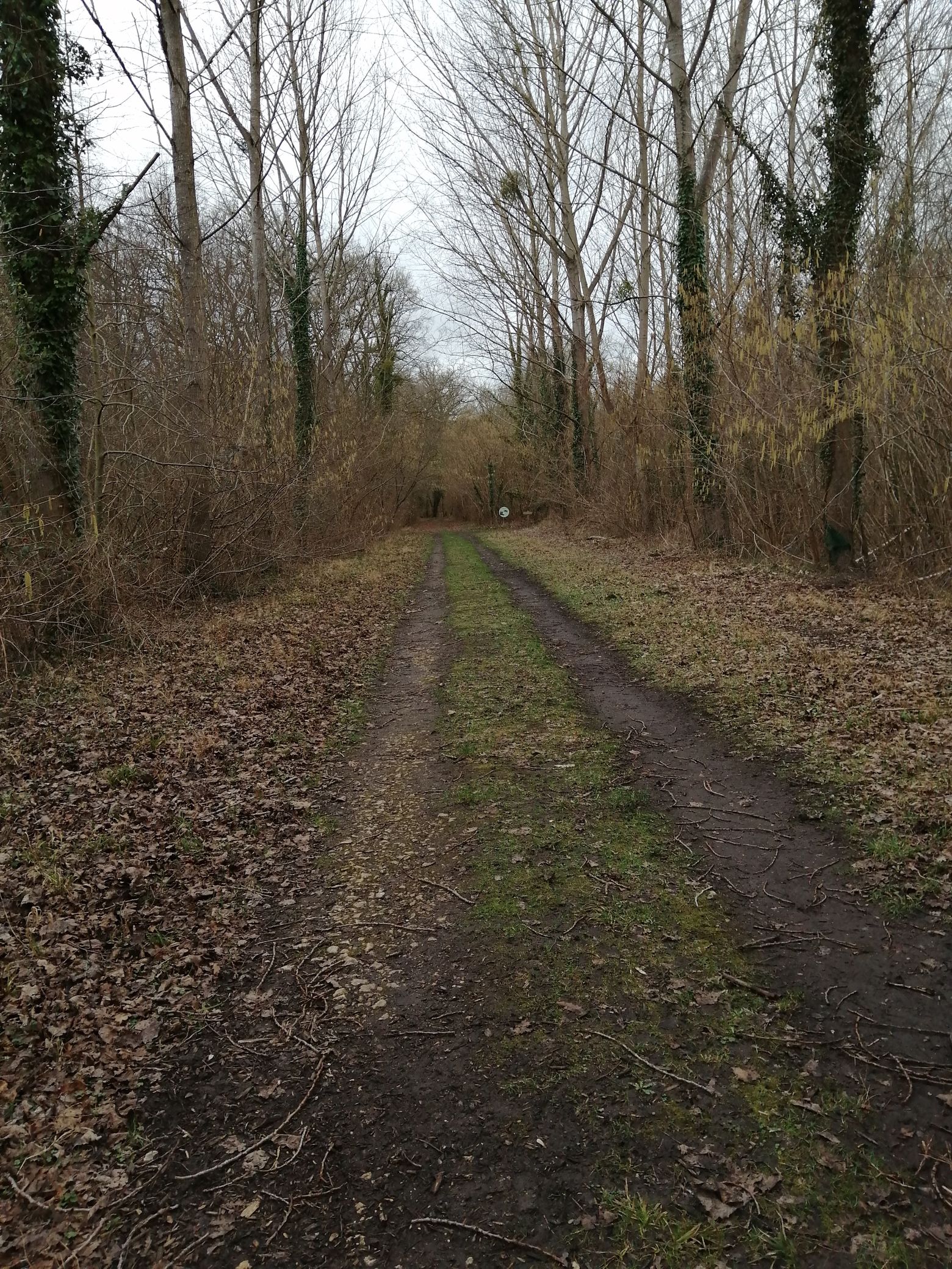 Le parcours forestier des marais de Sacy Saint-Martin-Longueau Hauts-de-France