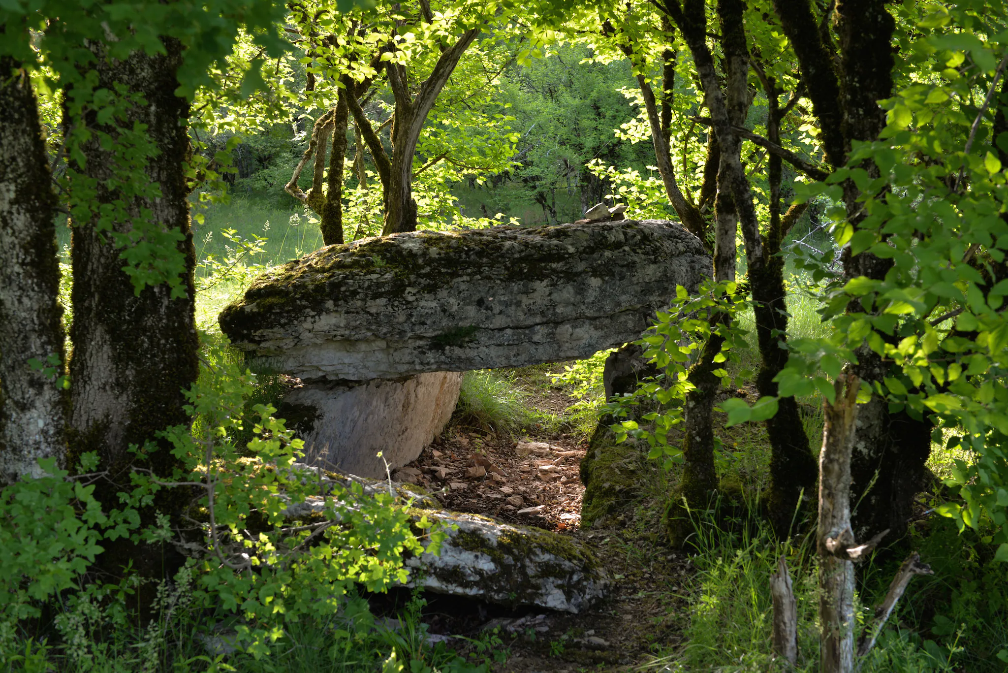 Les Dolmens de Limogne-en-Quercy Limogne-en-Quercy Occitanie