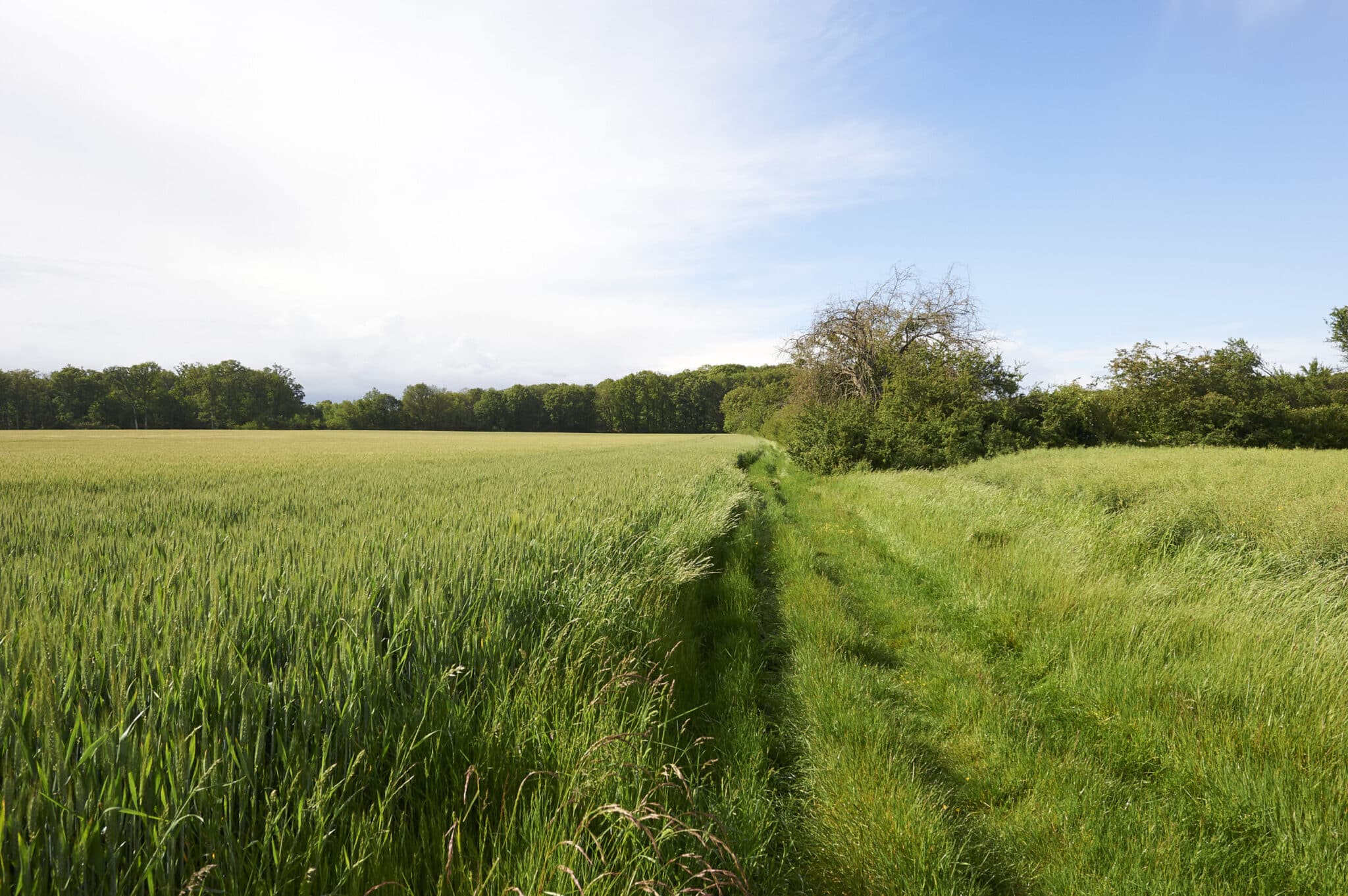 Randonnée à Autrèche Autrèche Centre-Val de Loire