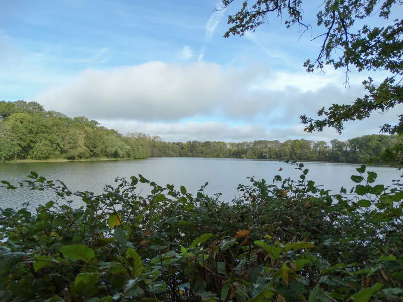 Base VTT sud du Perche Autour de l'étang de Boisvinet Couëtron-au-Perche Centre-Val de Loire