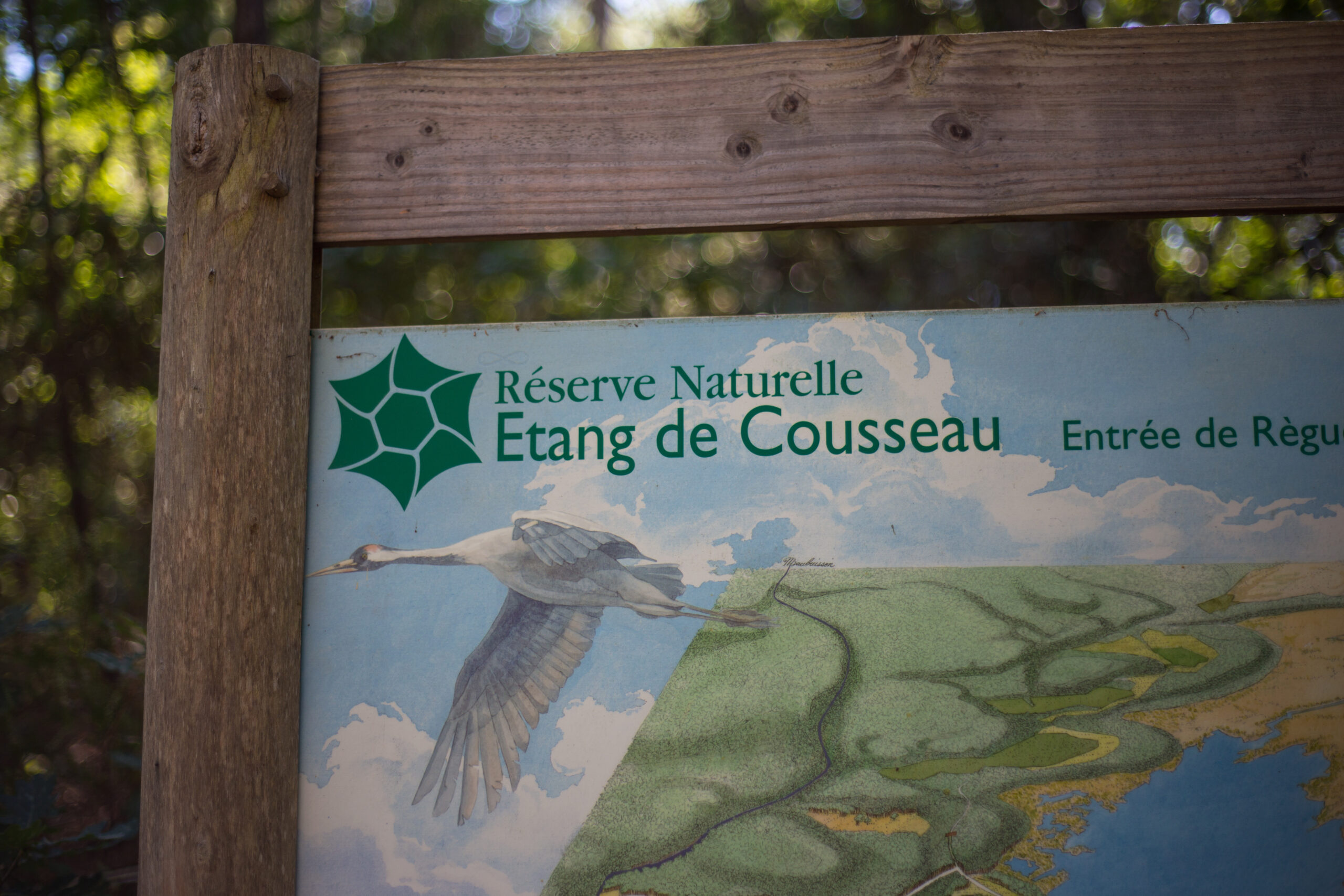 Lacanau à vélo Lacanau Nouvelle-Aquitaine