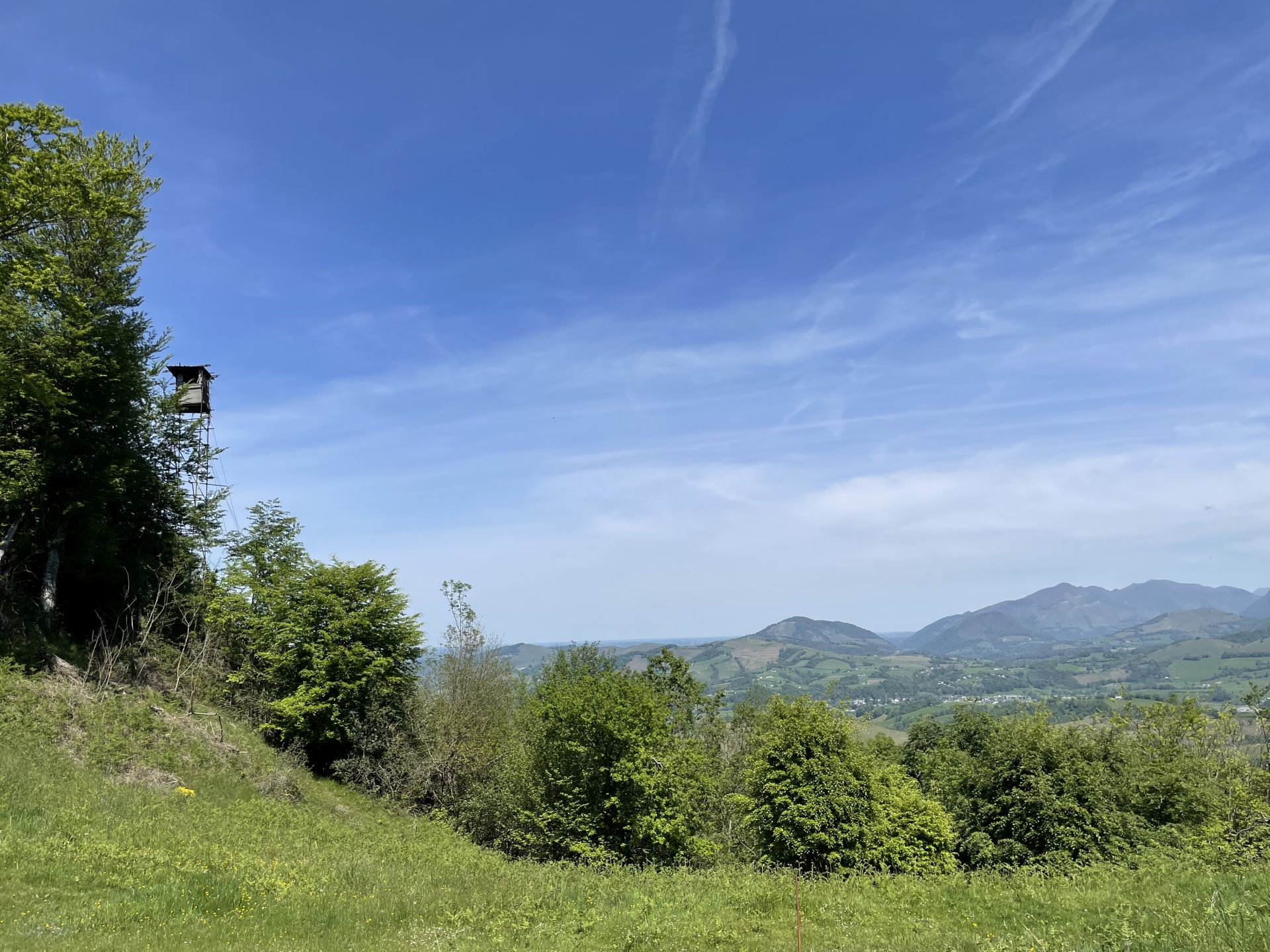 N°8 Pantières Lanne-en-Barétous Nouvelle-Aquitaine