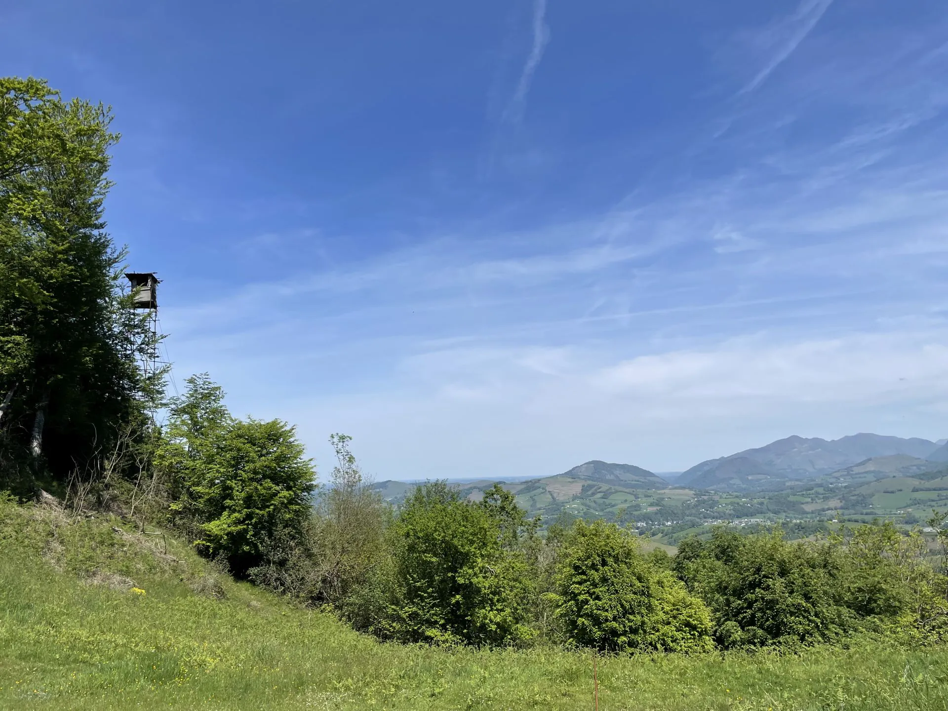 N°8 Pantières Lanne-en-Barétous Nouvelle-Aquitaine