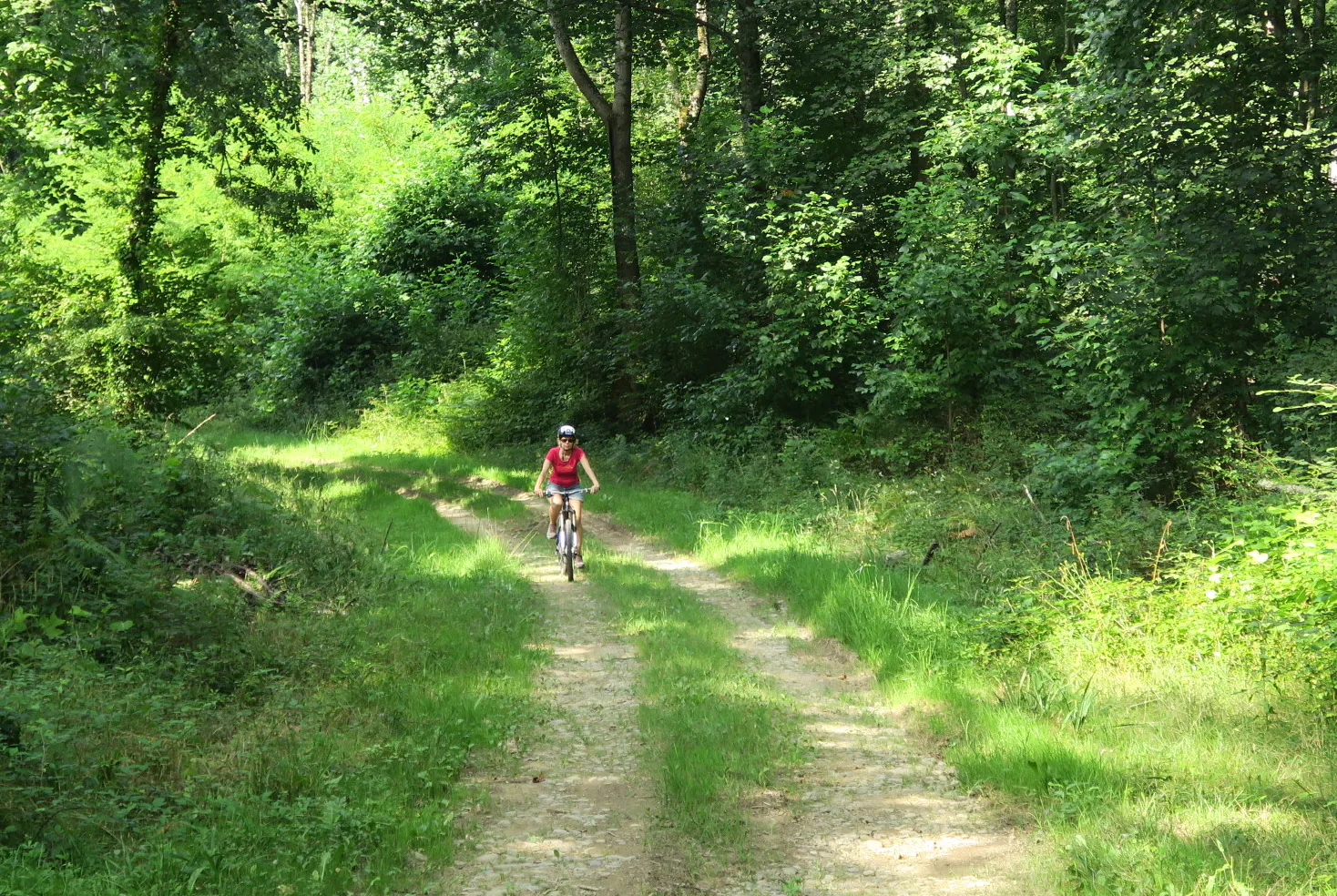 VTT N°71 Le Bois de Saint-Pée Oloron-Sainte-Marie Nouvelle-Aquitaine