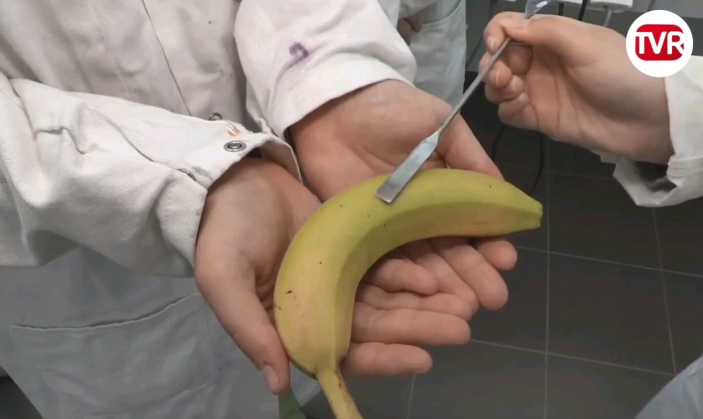 kito frais spray conservation légumes enscr rennes