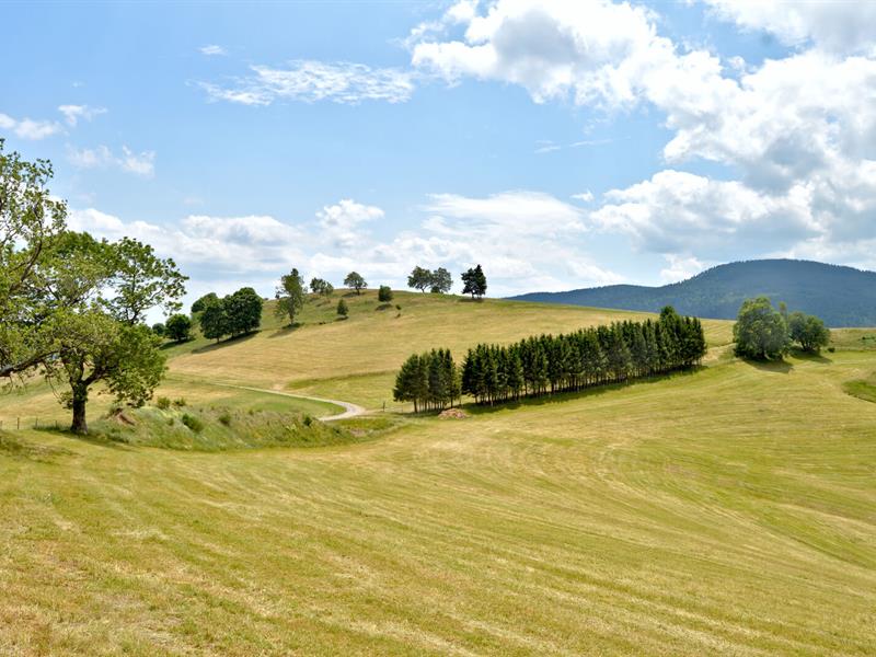 Circuit rando sur les hauteurs du Bonhomme Le Bonhomme Grand Est Circuit rando sur les hauteurs du Bonhomme Le Bonhomme Grand Est