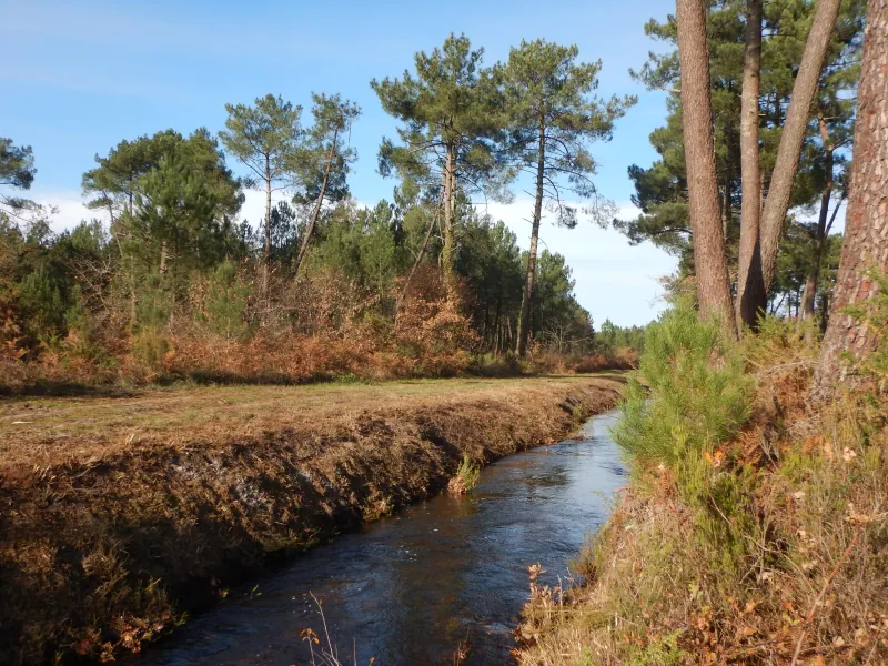 A l'orée des bois VTT Le Teich Nouvelle-Aquitaine