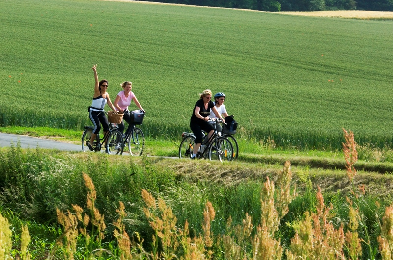 Les mares Qu'est-ce qu'une mare ? Ligny-le-Ribault Centre-Val de Loire