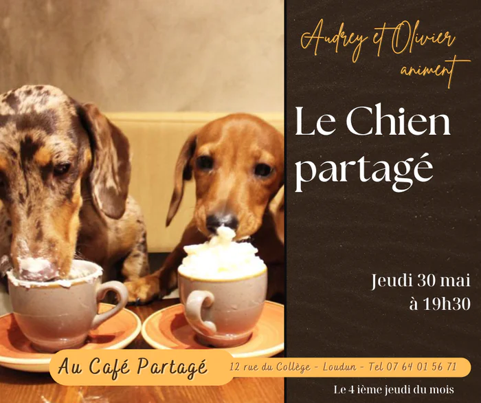 Le chien partagé